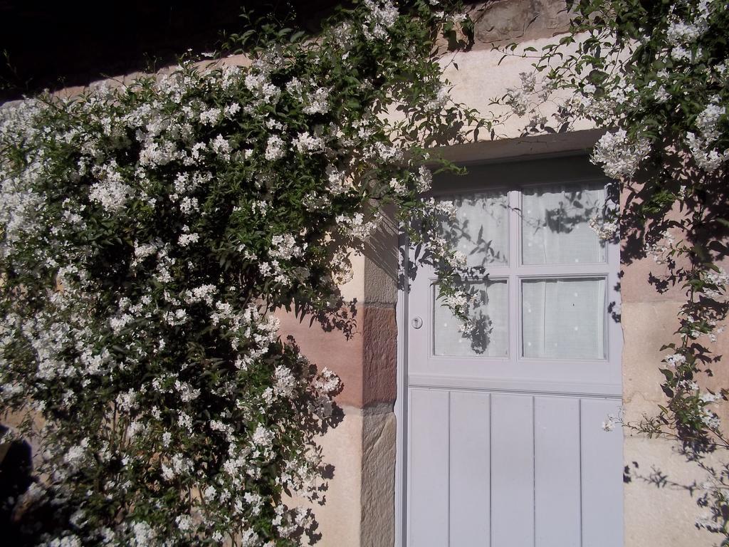 La Curva De Maria Guest House Teran Exterior photo
